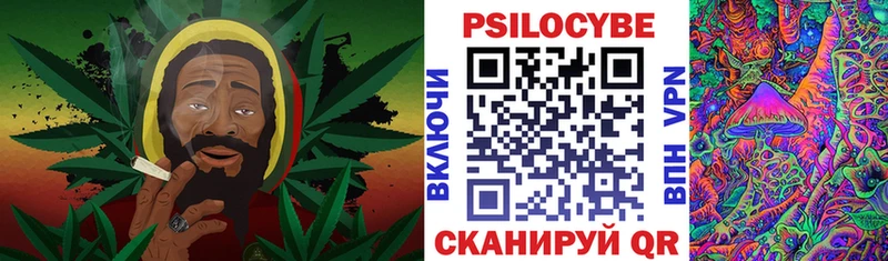 наркошоп  Монино  мега как зайти  Псилоцибиновые грибы Psilocybe 