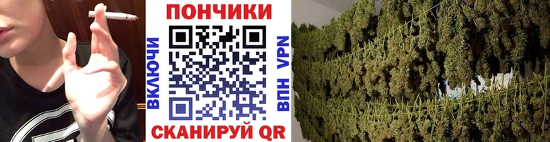 Марихуана SATIVA & INDICA  цена наркотик  Монино 